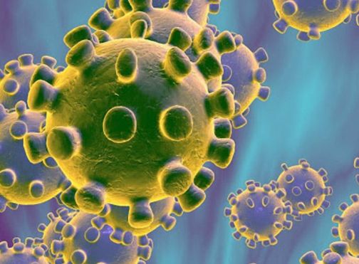 Let's model the 'Nandurbar pattern' of Corona liberation ... | कोरोना मुक्तीचा ‘नंदुरबार पॅटर्न’ आदर्श करू या... Let's model the 'Nandurbar pattern' of Corona liberation ... | कोरोना मुक्तीचा ‘नंदुरबार पॅटर्न’ आदर्श करू या...