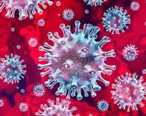 Two more reports in Nandurbar district are positive | नंदुरबार जिल्ह्यात आणखी दोघांचे अहवाल पॉझिटिव्ह Two more reports in Nandurbar district are positive | नंदुरबार जिल्ह्यात आणखी दोघांचे अहवाल पॉझिटिव्ह