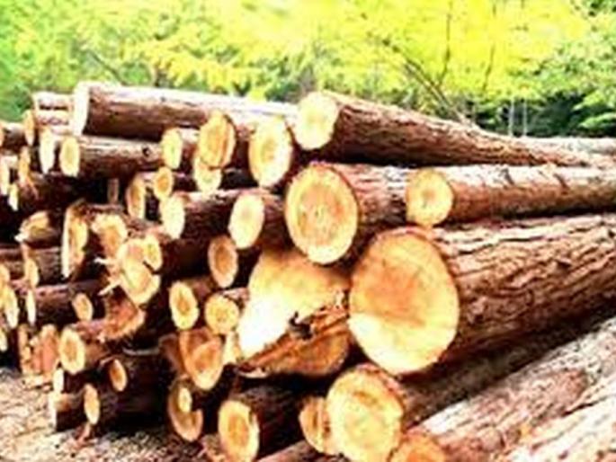 Four lakh cases of cash seized with wood | लाकूडसह चार लाखांचा मुद्देमाल जप्त Four lakh cases of cash seized with wood | लाकूडसह चार लाखांचा मुद्देमाल जप्त