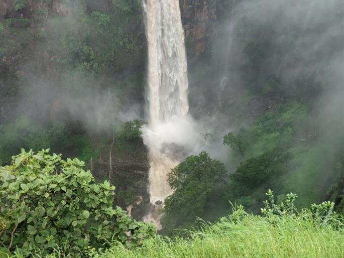 Tourists enjoy plundering even in the rain | धो-धो पावसातही तोरणमाळला पर्यटकांनी लुटला आनंद Tourists enjoy plundering even in the rain | धो-धो पावसातही तोरणमाळला पर्यटकांनी लुटला आनंद