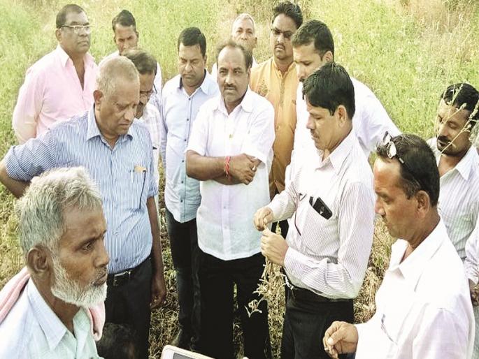 District Agriculture Officer has taken up the issue with farmers on the crop pricing | उभ्या पिकावर नांगर फिरवलेल्या शेतक-यांशी आणेवारीसंदर्भात जिल्हा कृषीअधिका-यांनी घेतली भेट District Agriculture Officer has taken up the issue with farmers on the crop pricing | उभ्या पिकावर नांगर फिरवलेल्या शेतक-यांशी आणेवारीसंदर्भात जिल्हा कृषीअधिका-यांनी घेतली भेट