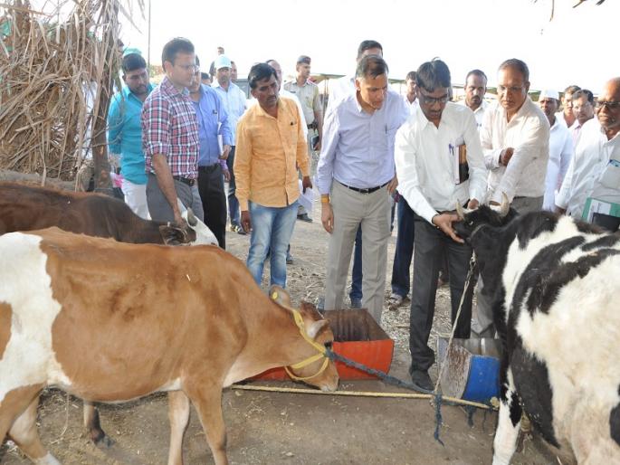 The action will be taken regarding the irregularities of the tankers: Guardian Secretary Ashishkumar | टँकरमधील अनियमिततेबाबत कारवाई होणारच : पालक सचिव आशिषकुमार The action will be taken regarding the irregularities of the tankers: Guardian Secretary Ashishkumar | टँकरमधील अनियमिततेबाबत कारवाई होणारच : पालक सचिव आशिषकुमार