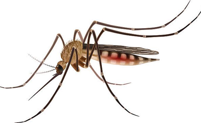 Citizens suffer from fever in Parbhani city | परभणी शहरात तापाच्या साथीने नागरिक त्रस्त Citizens suffer from fever in Parbhani city | परभणी शहरात तापाच्या साथीने नागरिक त्रस्त