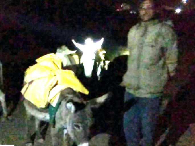 Parbhani: The donkey caught by sand picks up | परभणी : वाळू उपसा करणारी गाढवं पकडली