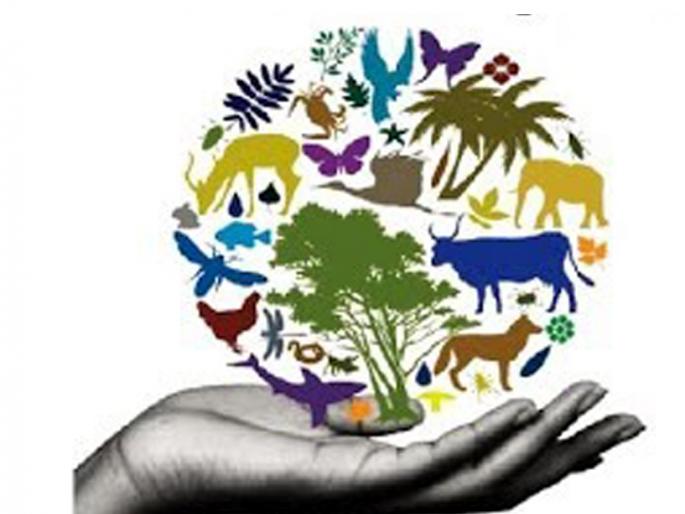 Parbhani: 158 Biodiversity Committees on paper | परभणी : १५८ जैव विविधता समित्या कागदावरच