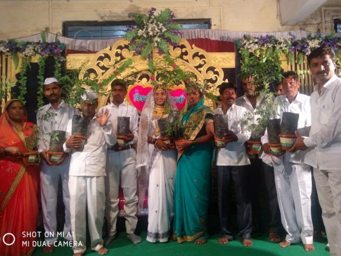  Instead of a visit to the plants | विवाहात आहेराऐवजी रोपांची भेट