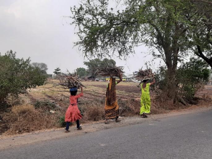 Rising gas prices have re-ignited women's heads | गॅसच्या वाढत्या किमतीमुळे महिलांच्या डोक्यावर पुन्हा आली सरपणाची मोळी Rising gas prices have re-ignited women's heads | गॅसच्या वाढत्या किमतीमुळे महिलांच्या डोक्यावर पुन्हा आली सरपणाची मोळी