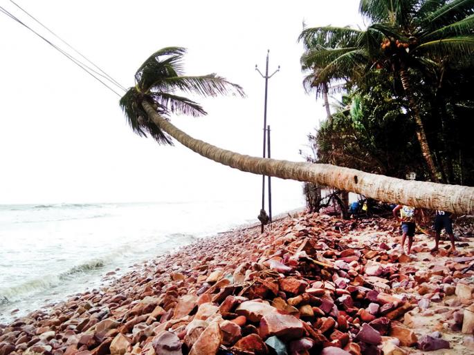 Surf Coastline | मालवण किनारपट्टीला लाटांचा तडाखा Surf Coastline | मालवण किनारपट्टीला लाटांचा तडाखा
