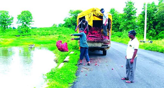 Onion thrown in the river due to falling prices! | भाव गडगडल्याने नदीत फेकून दिला कांदा !