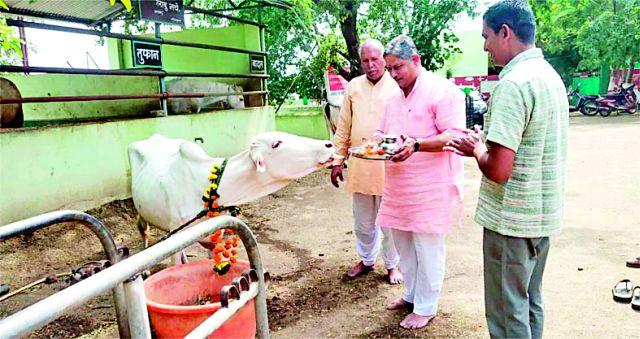 All India officials visit People for Animals | अखिल भारतीय अधिकाऱ्यांची पीपल फॉर अ‍ॅनिमल्सला भेट