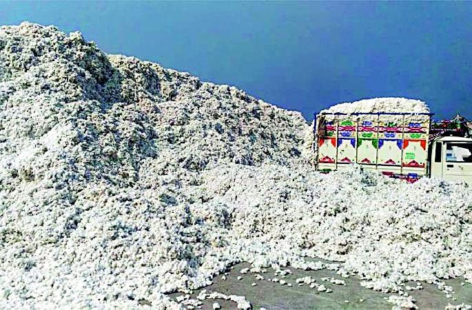 Farmers' lessons to the Federation's shopping center | फेडरेशनच्या खरेदी केंद्राकडे शेतकऱ्यांची पाठ Farmers' lessons to the Federation's shopping center | फेडरेशनच्या खरेदी केंद्राकडे शेतकऱ्यांची पाठ