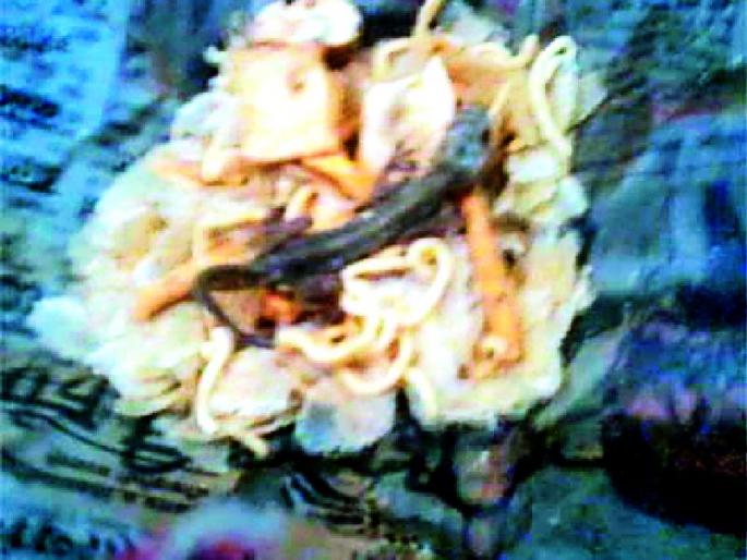 Sail found in canteen of a canteen in the factory | कारखान्यातील कॅन्टीनच्या अल्पोपहारात आढळली पाल Sail found in canteen of a canteen in the factory | कारखान्यातील कॅन्टीनच्या अल्पोपहारात आढळली पाल