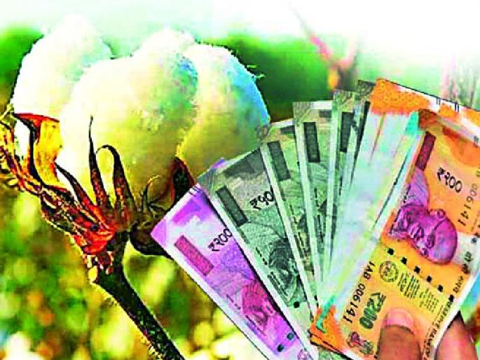 Only 24 percent of crop loan allocation | पीक कर्जाचे वाटप केवळ २४ टक्के Only 24 percent of crop loan allocation | पीक कर्जाचे वाटप केवळ २४ टक्के