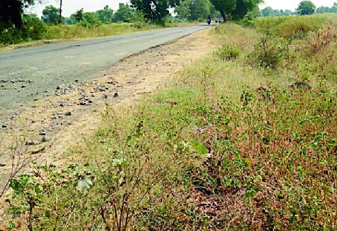 Expenditure on tree cultivation in the water | वृक्ष लागवडीवरील खर्च पाण्यात Expenditure on tree cultivation in the water | वृक्ष लागवडीवरील खर्च पाण्यात