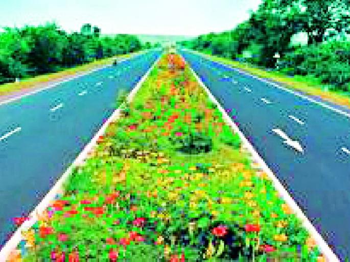 33 meters width is not allowed for forestry | ३३ मीटर रुंदीकरणाला वनखात्याची परवानगी नाही 33 meters width is not allowed for forestry | ३३ मीटर रुंदीकरणाला वनखात्याची परवानगी नाही