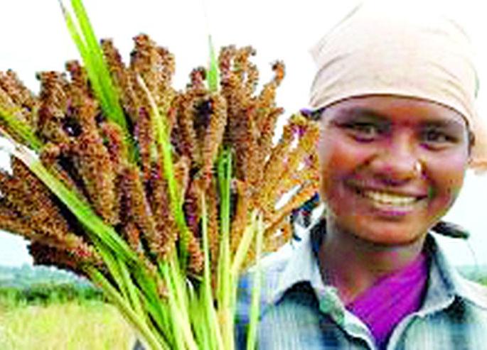 Hardworking Farmer's kids Hungry | कष्टिक पोशिंद्याच्या पोरांचेच पोट गेले खपाटीला