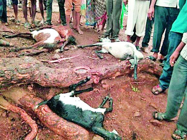 Drought | अवकाळी पावसाचा तडाखा