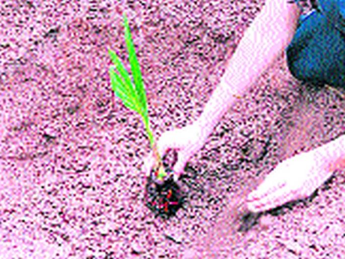 The cost of the potholes is on the basis of government machinery | खड्ड्यांचा खर्च शासकीय यंत्रणांच्या माथी The cost of the potholes is on the basis of government machinery | खड्ड्यांचा खर्च शासकीय यंत्रणांच्या माथी