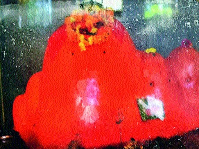 The Bhairavnath Yatra is ready to be completed in Khed | खेड येथील भैरवनाथ यात्रोत्सवाची तयारी पूर्ण The Bhairavnath Yatra is ready to be completed in Khed | खेड येथील भैरवनाथ यात्रोत्सवाची तयारी पूर्ण