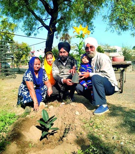Just different! Tree Man for Tree Growing | जरा हटके! वृक्षसंवर्धनाचा ध्यास घेतलेला ‘ट्री मॅन’ Just different! Tree Man for Tree Growing | जरा हटके! वृक्षसंवर्धनाचा ध्यास घेतलेला ‘ट्री मॅन’
