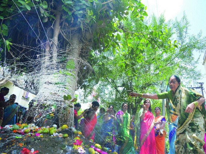 Vatpujan is doing a good luck | अखंड सौभाग्याची मनोकामना करत वटपूजन Vatpujan is doing a good luck | अखंड सौभाग्याची मनोकामना करत वटपूजन