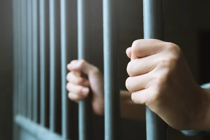 Penalty of 1 year imprisonment and fine of Rs 10,000 to builder by Consumer forum | बांधकाम व्यावसायिकाला ग्राहक मंचाचा दणका; १ वर्षांची कैद व १० हजारांचा दंड Penalty of 1 year imprisonment and fine of Rs 10,000 to builder by Consumer forum | बांधकाम व्यावसायिकाला ग्राहक मंचाचा दणका; १ वर्षांची कैद व १० हजारांचा दंड