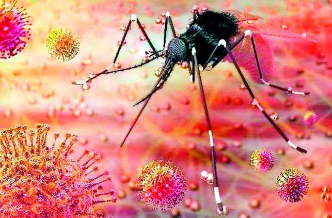 After the corona, now the threat of Zika virus | कोरोनानंतर आता झिका व्हायरसचा धोका After the corona, now the threat of Zika virus | कोरोनानंतर आता झिका व्हायरसचा धोका