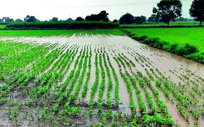 Heavy rains hit 829 villages | अतिवृष्टीचा 829 गावांना फटका