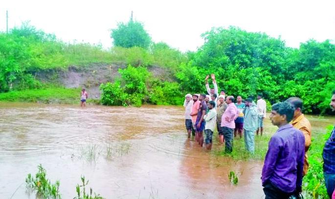 The return rain was the cotton season | परतीचा पाऊस ठरला कापसाचा काळ The return rain was the cotton season | परतीचा पाऊस ठरला कापसाचा काळ