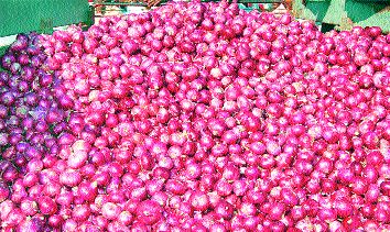 Onion prices are stable due to inward growth | आवक वाढल्याने कांद्याचे भाव स्थिर Onion prices are stable due to inward growth | आवक वाढल्याने कांद्याचे भाव स्थिर