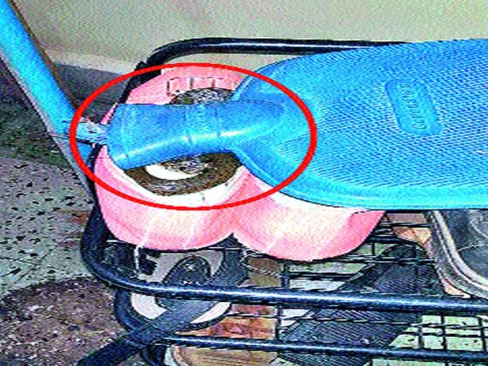 Looking for a warm place to find snakes in the house | उबदार जागेच्या शोधात साप येताहेत घरांत Looking for a warm place to find snakes in the house | उबदार जागेच्या शोधात साप येताहेत घरांत