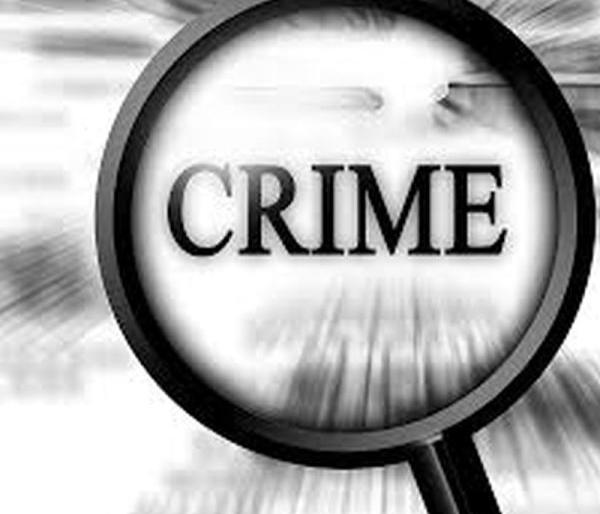 Theft of former police commissioner in Nagpur | नागपुरात माजी पोलीस आयुक्तांकडे चोरी