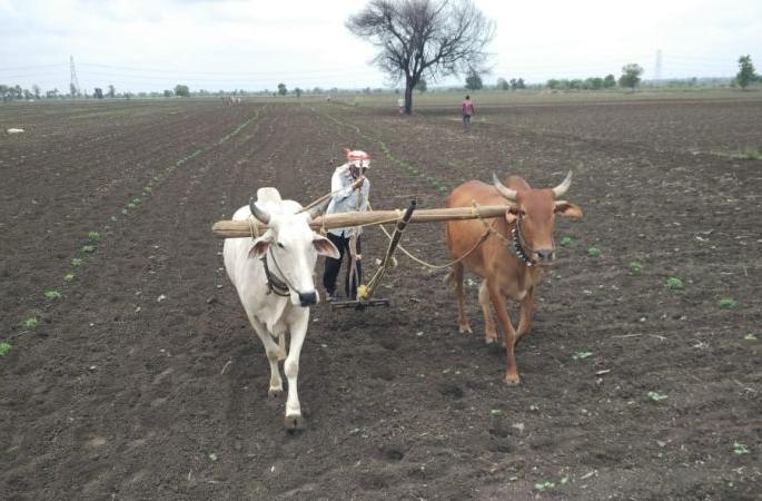 94 lakh farmers are eligible for the Sanman Dhan Yojana | सन्मानधन योजनेसाठी राज्यातील ९४ लाख शेतकरी पात्र 94 lakh farmers are eligible for the Sanman Dhan Yojana | सन्मानधन योजनेसाठी राज्यातील ९४ लाख शेतकरी पात्र