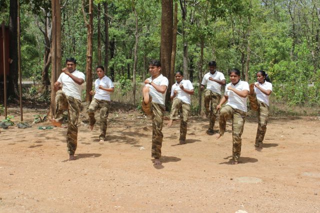 Forest of Umred-Karhadla-Pawani Sanctuary handed over to forest rangers | उमरेड-कऱ्हाडला-पवनी अभयारण्याच्या पवनी रेंजचे जंगल महिला वनरक्षकांच्या हवाली Forest of Umred-Karhadla-Pawani Sanctuary handed over to forest rangers | उमरेड-कऱ्हाडला-पवनी अभयारण्याच्या पवनी रेंजचे जंगल महिला वनरक्षकांच्या हवाली