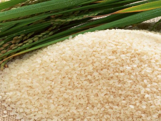 Gadchiroli rice rolls in Delhi exhibition | दिल्लीतील मेळाव्यात गडचिरोलीचा तांदूळ दाखल