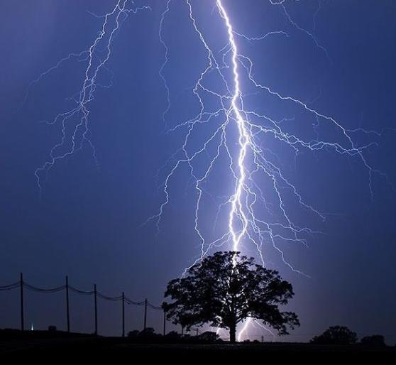 He wanted to take shelter of a tree in the pouring rain | मुसळधार पावसात झाडाचा आसरा घेणेच बेतले त्याच्या जीवावर He wanted to take shelter of a tree in the pouring rain | मुसळधार पावसात झाडाचा आसरा घेणेच बेतले त्याच्या जीवावर