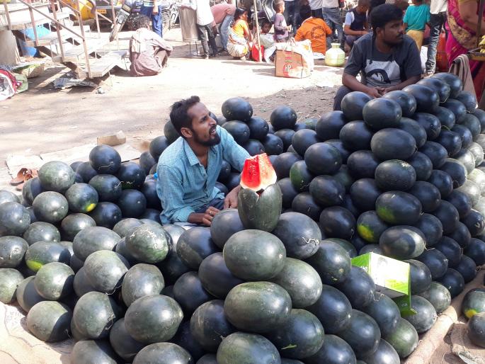 Kalinga, lemon demand rises, vegetable prices fall: white peas however | कलिंगडे, लिंबूच्या मागणीत वाढ, भाजीपाल्याच्या दरात घसरण Kalinga, lemon demand rises, vegetable prices fall: white peas however | कलिंगडे, लिंबूच्या मागणीत वाढ, भाजीपाल्याच्या दरात घसरण