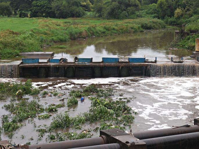 Heavy rains in Gaganbawda, flash floods in rest of the district: relief to kharif crops | गगनबावड्यात जोरदार पाऊस, उर्वरित जिल्ह्यात उघडझाप : खरीप पिकांना दिलासा Heavy rains in Gaganbawda, flash floods in rest of the district: relief to kharif crops | गगनबावड्यात जोरदार पाऊस, उर्वरित जिल्ह्यात उघडझाप : खरीप पिकांना दिलासा