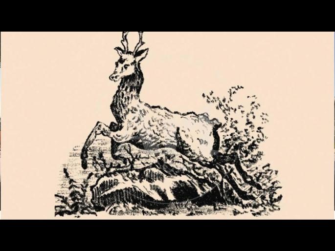 Optical illusion : people could not find a dog hidden in a deer | लोक शोधून शोधून थकले या फोटोतील कुत्रा, तुम्हीही ट्राय करा! Optical illusion : people could not find a dog hidden in a deer | लोक शोधून शोधून थकले या फोटोतील कुत्रा, तुम्हीही ट्राय करा!