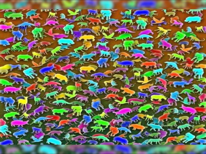 Optical illusion : Find hidden giraffe among toy within 7 seconds | वेगवेगळ्या प्राण्यांमध्ये लपला आहे एक जिराफ, 7 सेकंदात शोधण्याचं आहे चॅलेंज! Optical illusion : Find hidden giraffe among toy within 7 seconds | वेगवेगळ्या प्राण्यांमध्ये लपला आहे एक जिराफ, 7 सेकंदात शोधण्याचं आहे चॅलेंज!