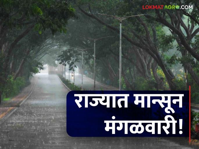 Monsoon Maharashtra: Happy news! Monsoon will enter the state on Tuesday, Pune on Thursday | आनंदवार्ता! राज्यात मॉन्सून मंगळवारी, पुण्यात गुरुवारी प्रवेश करणार Monsoon Maharashtra: Happy news! Monsoon will enter the state on Tuesday, Pune on Thursday | आनंदवार्ता! राज्यात मॉन्सून मंगळवारी, पुण्यात गुरुवारी प्रवेश करणार
