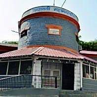 Single contract soldiery seed seeds | सिंगल कॉन्ट्रक्टने पेरली दुहीची बीजे