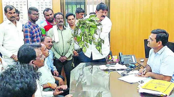 Infected soybeans should receive government assistance, insurance coverage | बाधित सोयाबीनला शासन मदत, विमा भरपाई मिळावी Infected soybeans should receive government assistance, insurance coverage | बाधित सोयाबीनला शासन मदत, विमा भरपाई मिळावी