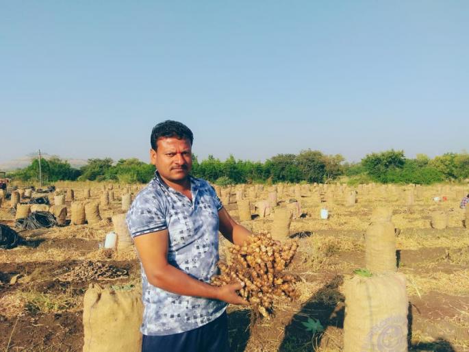 Fifteen million came out in one acre, drought situation | सातारा : एका एकरात पंधरा लाखांचे आले!, दुष्काळी परिस्थितीवर मात Fifteen million came out in one acre, drought situation | सातारा : एका एकरात पंधरा लाखांचे आले!, दुष्काळी परिस्थितीवर मात