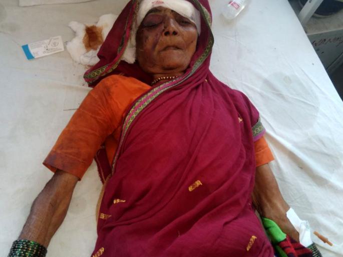 Sarpanch's mother attacked in Beed district with thieves | बीड जिल्ह्यात सरपंचाच्या आईवर चोरट्यांचा हल्ला Sarpanch's mother attacked in Beed district with thieves | बीड जिल्ह्यात सरपंचाच्या आईवर चोरट्यांचा हल्ला