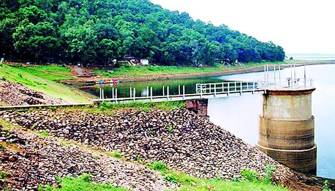 Increase in irrigation area of summer paddy | उन्हाळी धानाच्या सिंचन क्षेत्रात वाढ Increase in irrigation area of summer paddy | उन्हाळी धानाच्या सिंचन क्षेत्रात वाढ