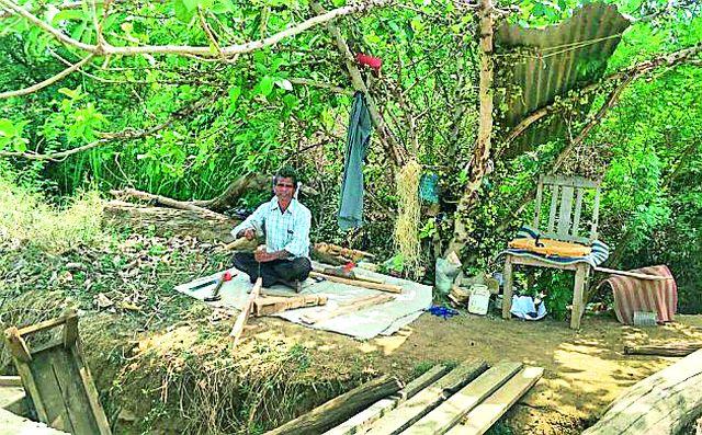 The tree of Katoomri has become its 'work place' | काटउमरीचे झाड ठरले ‘त्याची’ कर्मभूमी The tree of Katoomri has become its 'work place' | काटउमरीचे झाड ठरले ‘त्याची’ कर्मभूमी