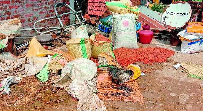 Timely grain growers bored | अवकाळीने धान उत्पादक बेजार Timely grain growers bored | अवकाळीने धान उत्पादक बेजार