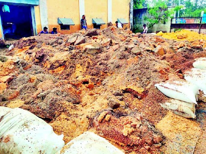 The grain in the government warehouse smells bad | शासकीय गोदामातील धान्याला प्रचंड दुर्गंधी The grain in the government warehouse smells bad | शासकीय गोदामातील धान्याला प्रचंड दुर्गंधी