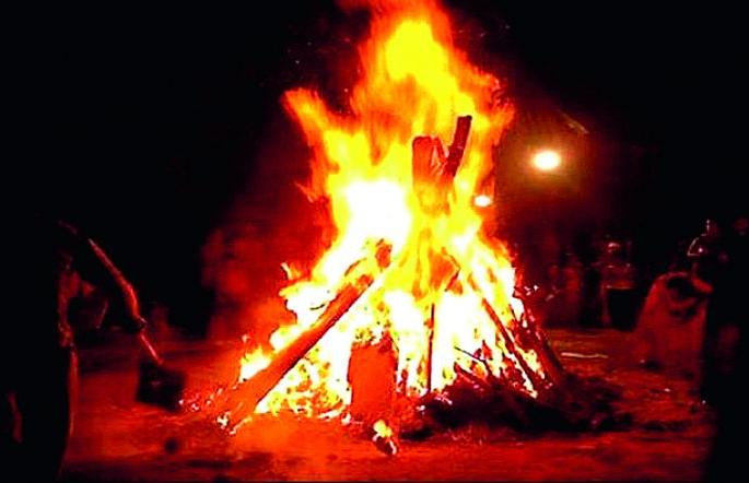 If you cut down a tree for Holi, go straight to jail | होळीसाठी वृक्ष तोडाल तर थेट कारागृहात रवानगी If you cut down a tree for Holi, go straight to jail | होळीसाठी वृक्ष तोडाल तर थेट कारागृहात रवानगी